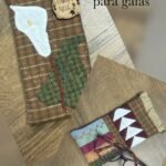 Kit Funda para gafas